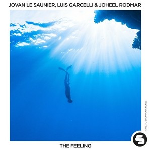 The Feeling (Extended Mix)