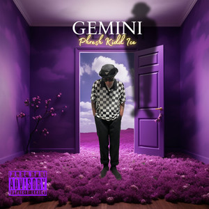 Gemini (Explicit)