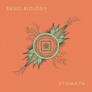 Stomata LP