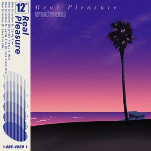 New Direction (feat. Cyndy Fike) (E. Live Remix)