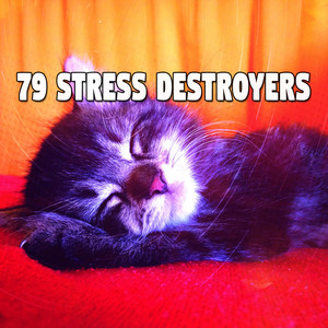 79 Stress Destroyers