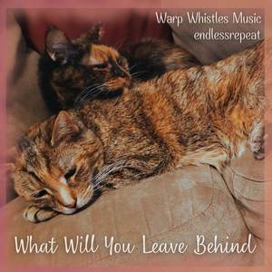 What Will You Leave Behind (From 