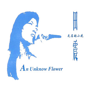 田震专辑《无名的小花》封面图片