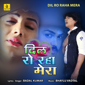 Dil Ro Raha Mera - Single