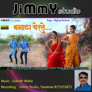 Bagata Verte (Gondi Dhemsa Song) (feat. Subodh Walke & Meghraj Meshram)