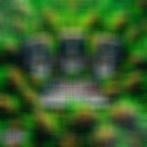 Maintained (feat. Le Treal Ross) (Explicit)