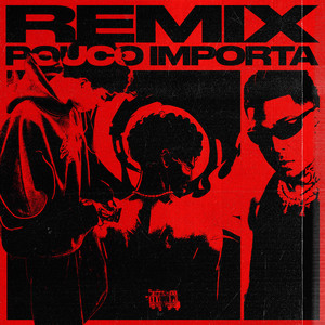 POUCO IMPORTA (Remix)