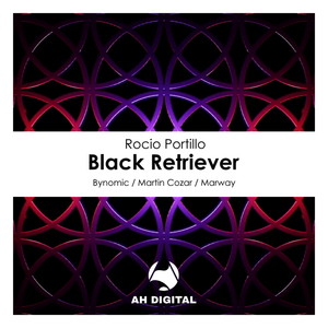 Black Retriever (Martin Cozar Remix)