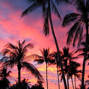 Dân Chơi Hệ Xóm