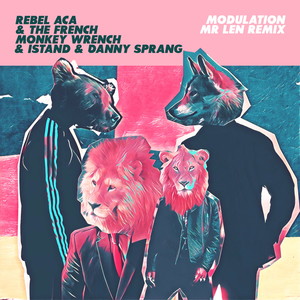 Modulation (Mr Len Remix) [feat. iSTAND, Mr Len & Danny Sprang]