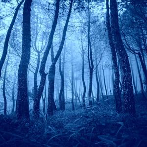 Beqadraan(feat. Jahangir NIazi)