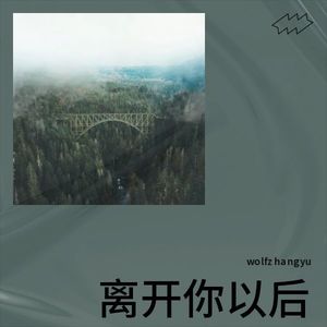 离开你以后封面