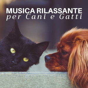 Musica Rilassante per Cani e Gatti - Musica Rilassante per Calmare l'Ansia di Separazione