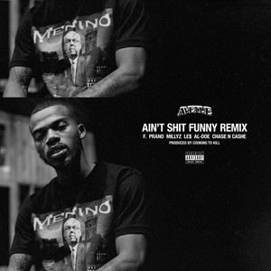 Ain't **** Funny (Remix|Explicit)