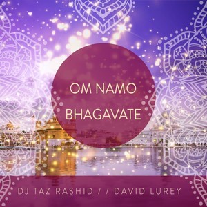 Om Namo Bhagavate