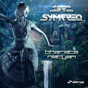 Parallel Reality (Original Mix)