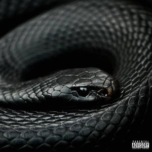 MAMBA (Explicit)