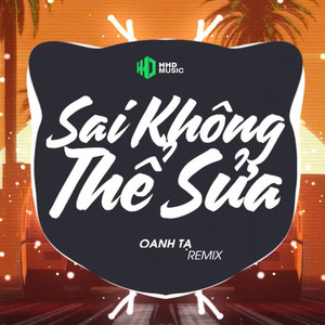 Sai Không Thể Sửa (Remix)