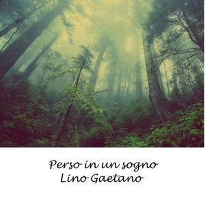 Perso in un sogno