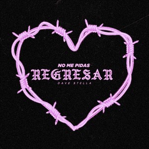 No Me Pidas Regresar