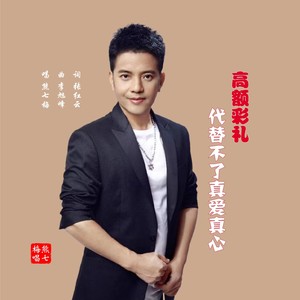 高额彩礼代替不了真爱真心 (伴奏)