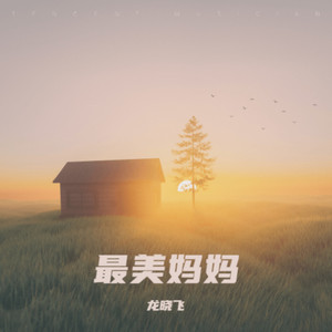 最美妈妈