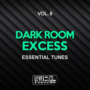 Dark Room Excess, Vol. 8 (Essential Tunes)