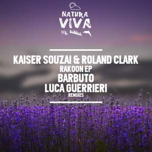Rakoon (Luca Guerrieri Remix)