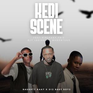 Kedi Scene (feat. 012 BABY BOYS, Ribskaay, Frixx, Leeiih101 & Dj Mabontsho)