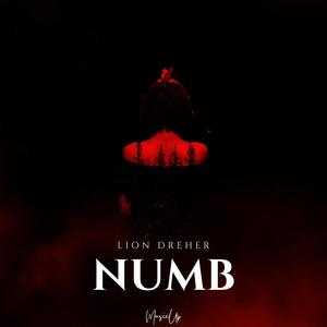 Numb (Techno Version)
