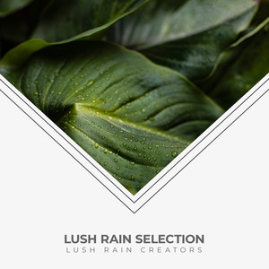 Lush Rain Selection