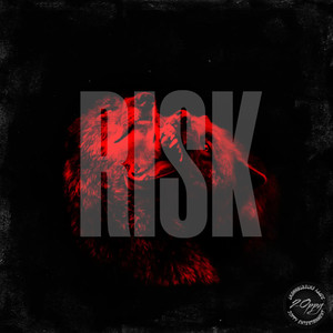 Risk (Explicit)