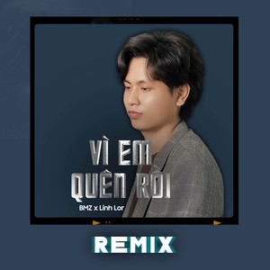 Vì Em Quên Rồi (Remix)