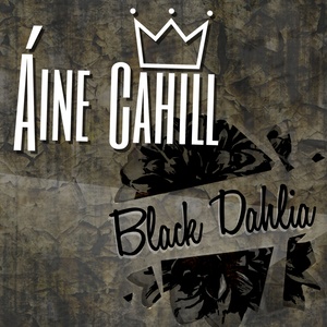 Black Dahlia