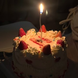 生日快乐 (海底捞专用)