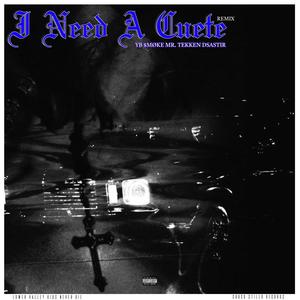 I NEED A CUETE (feat. Mr. Tekken & Dsastir) (Explicit)