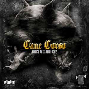 CANE CORSO (Explicit)