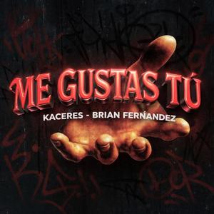 ME GUSTAS TÚ (feat. Brian Fernández) (Aftermix)
