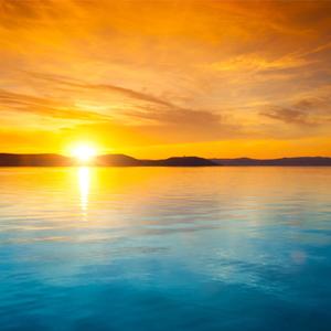 The Boss Way (Explicit)