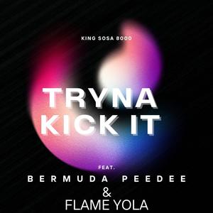 Tryna Kick It (feat. Bermuda PeeDee & FlameYola) (Explicit)