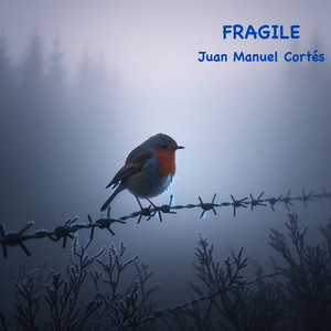 Fragile