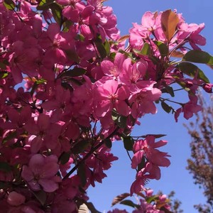 和你一起唱情歌 (女版 二步快四舞曲国标动感版)