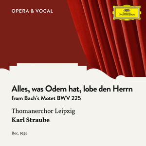 Singet dem Herrn ein neues Lied   Motet, BWV 225 - Alles, was Odem hat, lobe den Herrn