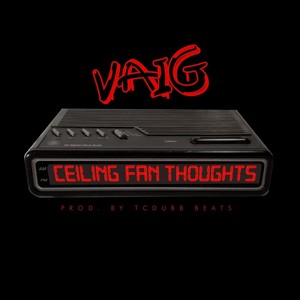 Ceiling Fan Thoughts
