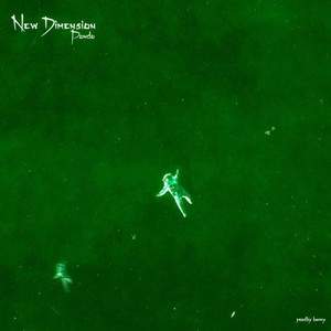 New Dimension (Explicit)