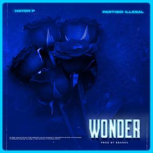 Wonder