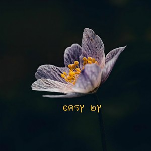 Easy by