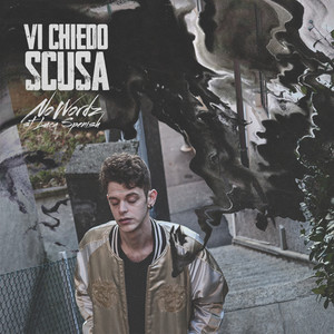 Vi chiedo scusa