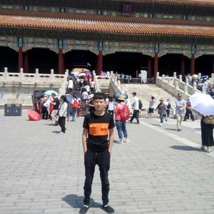 樱花树下的约定