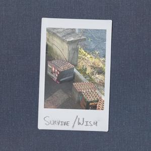 Will I Survive Myself? (Explicit)